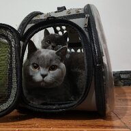 无人知晓的存在