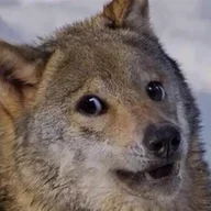 一个平平无趣的人