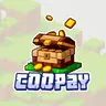 CooPay—— 服主自助收款